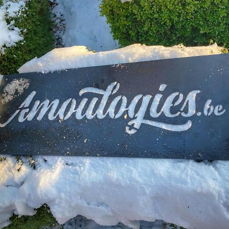 Villa Amoulogies Amougies Luaran gambar